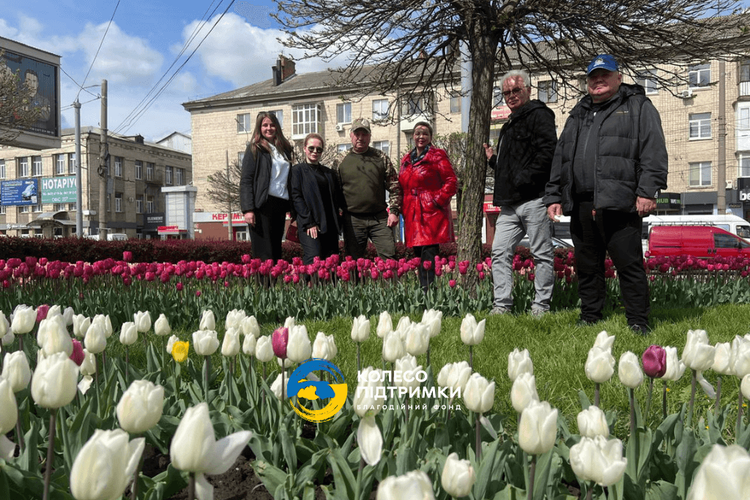 The tulips planted by the team of the "Support Wheel" Charitable Foundation in November have bloomed!